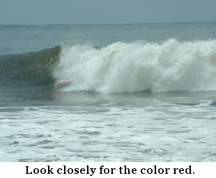 Look for the color red.